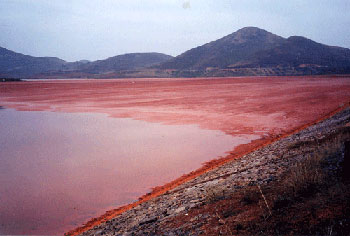 Red-Mud-lake